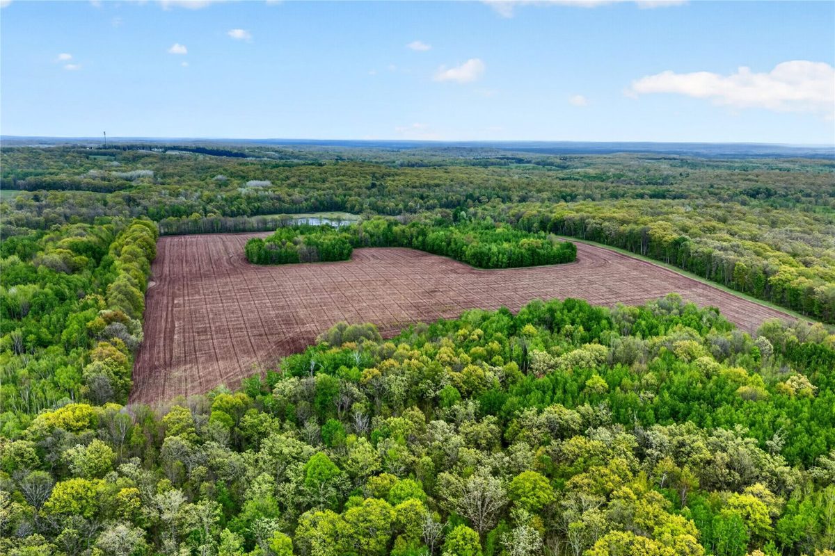 N8771 Fye Road, Trego WI 54888 - Land house for sale - MLS #1603147 - image37
