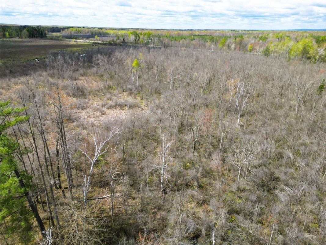 36.5 Acres E Cedarbrook Road, Ladysmith WI 54848 - Land house for sale - MLS #1601172 - image11