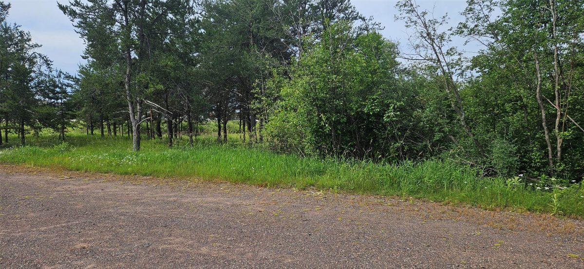 Lot A Windrose Lane, Hayward WI 54843 - Land house for sale - MLS #1602934 - image2