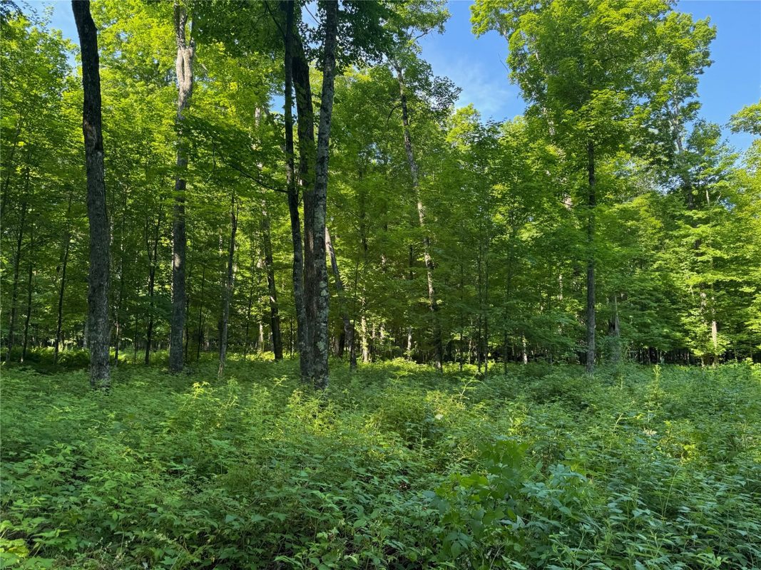 Lot 8 Crane Lane, Hayward WI 54843 - Land house for sale - MLS #1603375 - image16