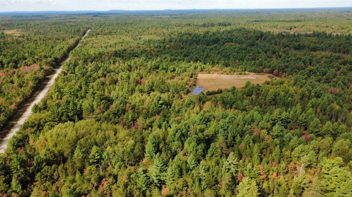 W4199 Ballard Road, Neillsville WI 54456 - Land house for sale - MLS #1605652 - image9