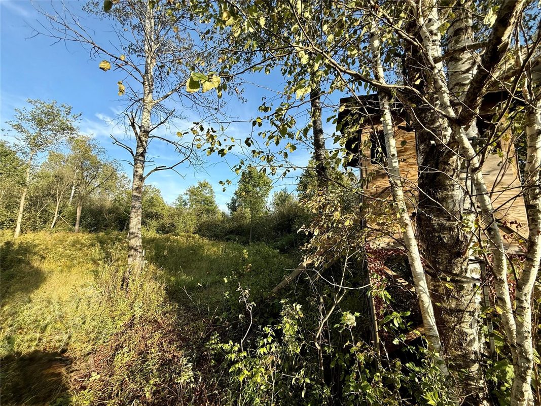 XX County Rd N, Kennan WI 54537 - Land house for sale - MLS #1605049 - image4