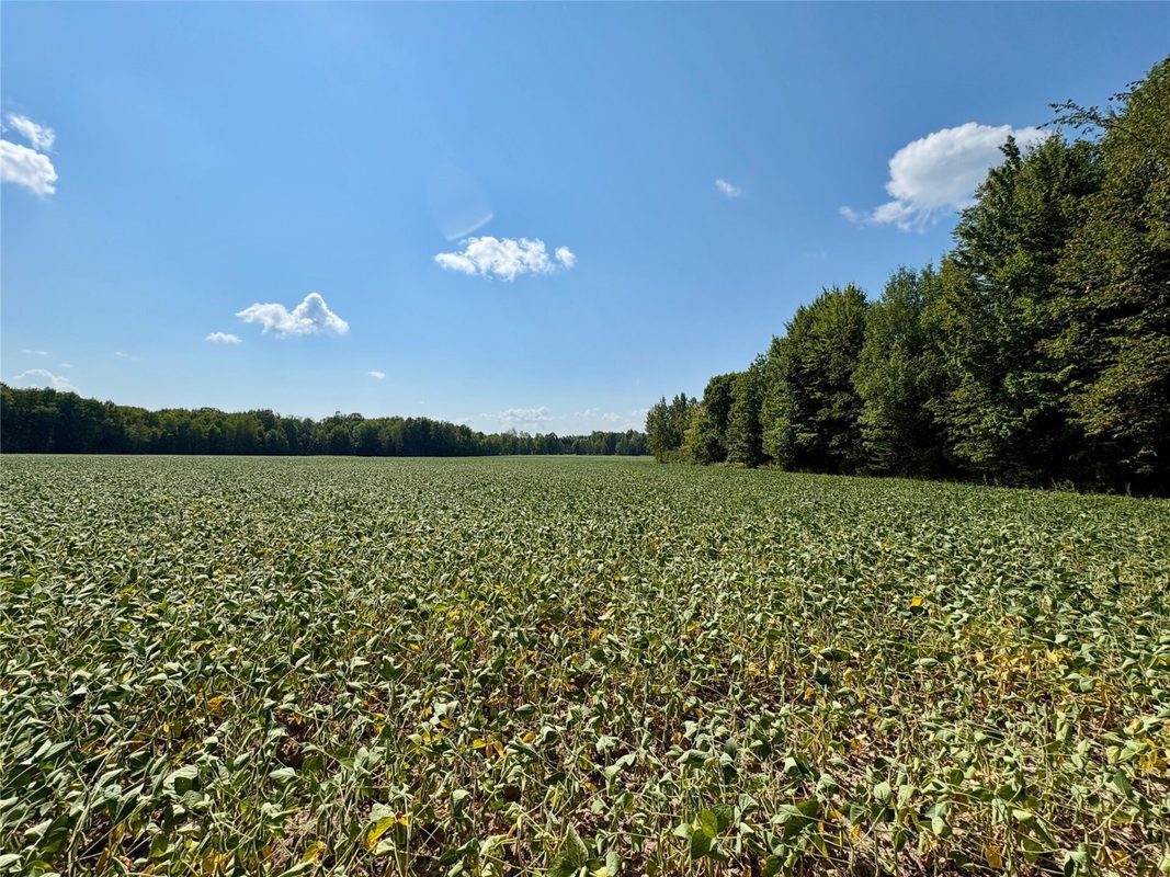 W16860 Cty Rd D, Sheldon WI 54766 - Land house for sale - MLS #1604631 - image40