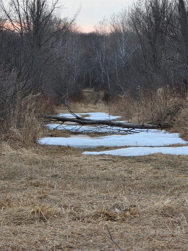 1563 N Helena Drive Holcombe WI 54731 — photo 22