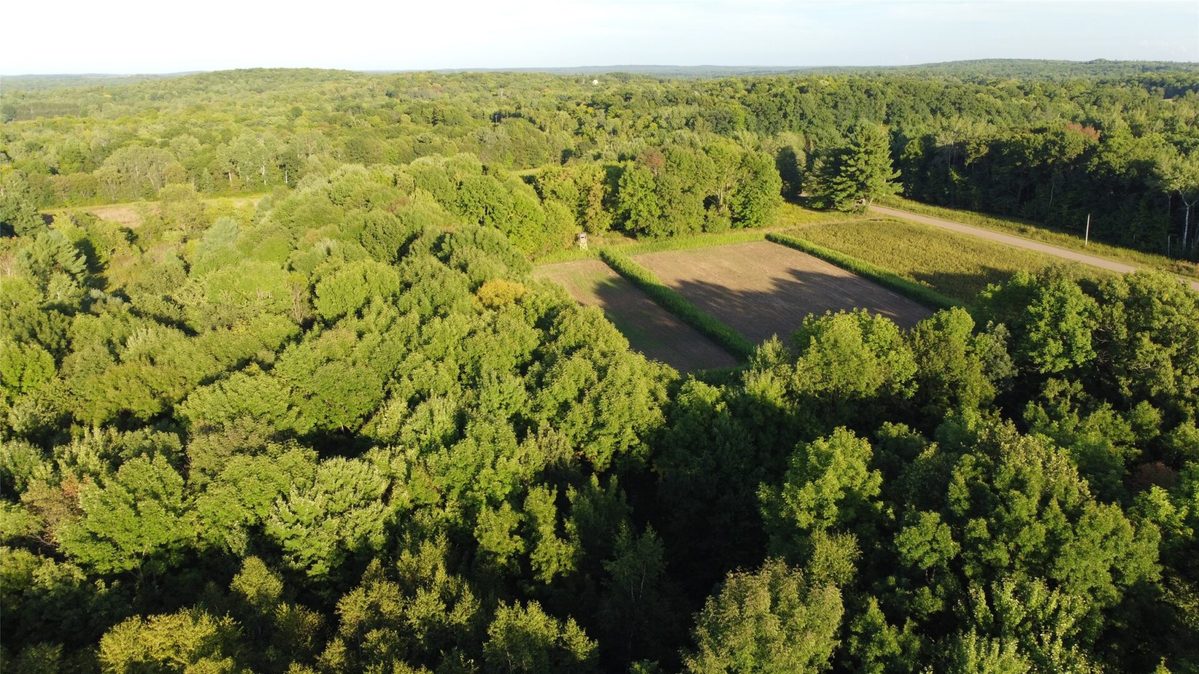 XX 340th, Clam Falls WI 54837 - Land house for sale - MLS #1605346 - image4