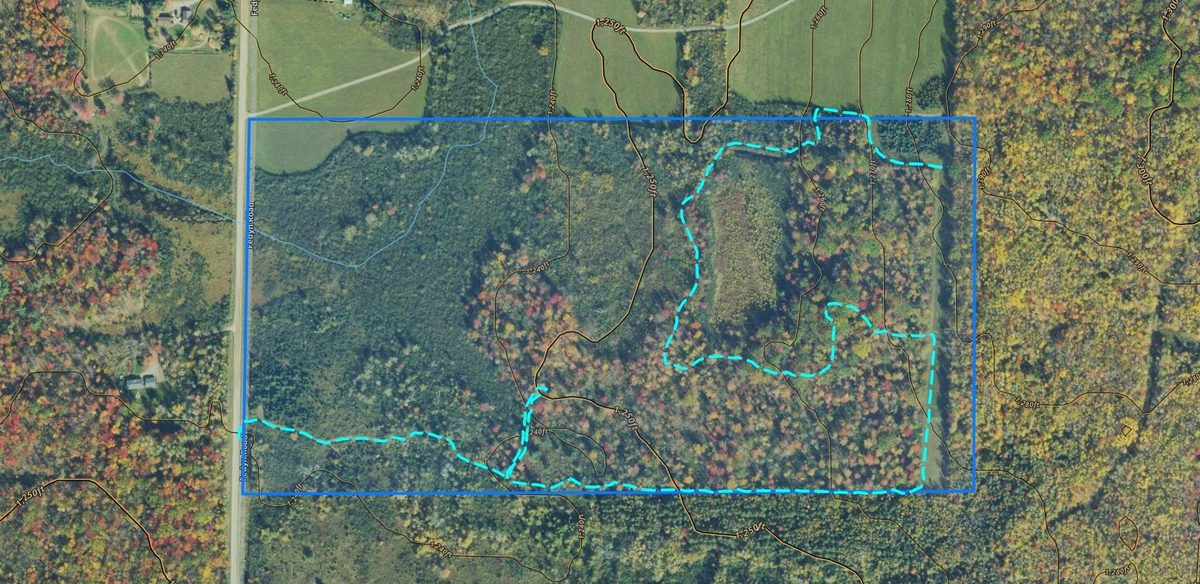 TBD Fedyn Road, Ladysmith WI 54848 - Land house for sale - MLS #1606244 - image10
