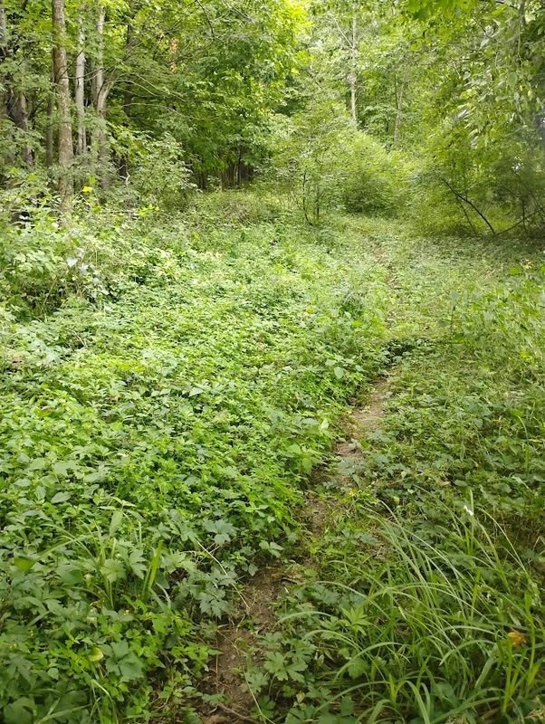 0 1130th, Colfax WI 54730 - Land house for sale - MLS #1604452 - image17