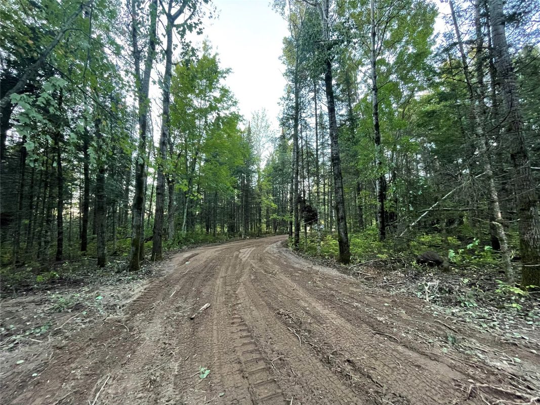 Lot 3 Fadness Road, Winter WI 54896 - Land house for sale - MLS #1605263 - image15