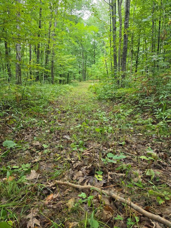 00 10 1/2-28 1/2, Barronett WI 54813 - Land house for sale - MLS #1604830 - image33