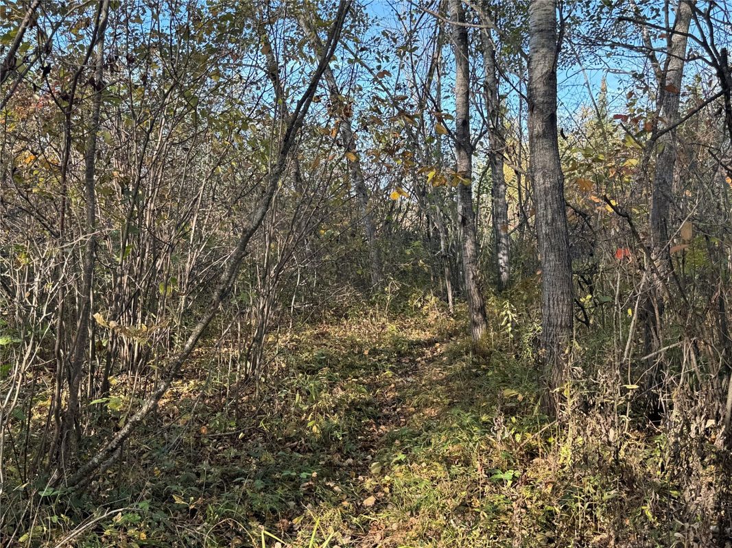 W11199 Edgewood Avenue, Bruce WI 54848 - Land house for sale - MLS #1605749 - image40