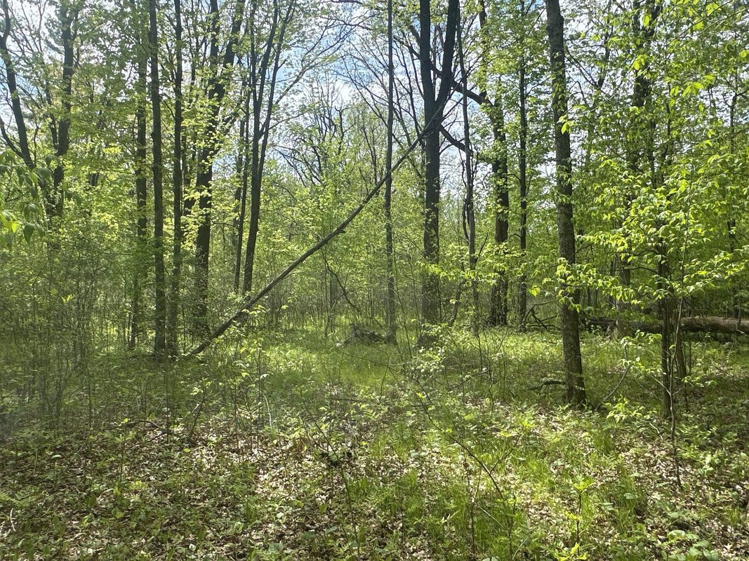 25275 Bruss Road, Webster WI 54893 - Land house for sale - MLS #1602158 - image15