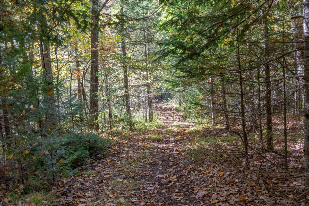 W5957 Happy Acres Road Tony WI 54563 - image37
