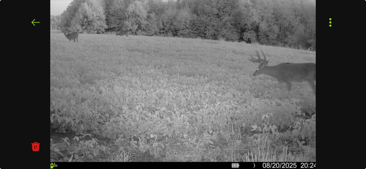 N8771 Fye Road, Trego WI 54888 - Land house for sale - MLS #1603147 - image29