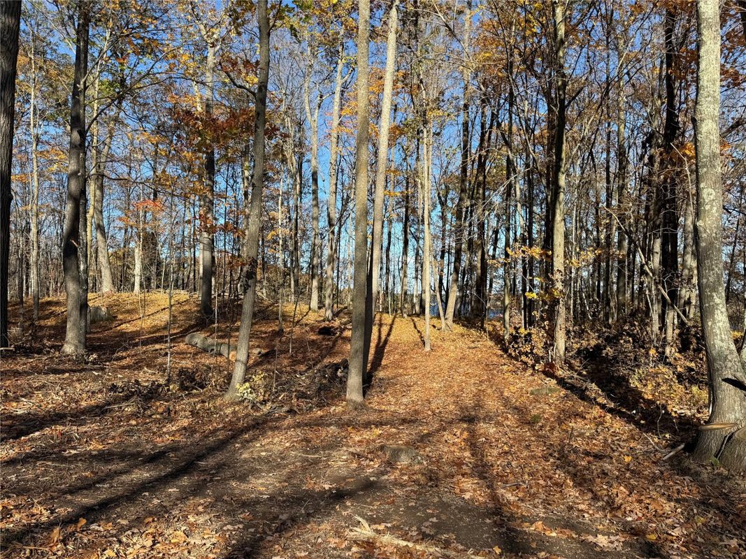 XXX County Hwy MD, Sarona WI 54870 - Land house for sale - MLS #1605948 - image30