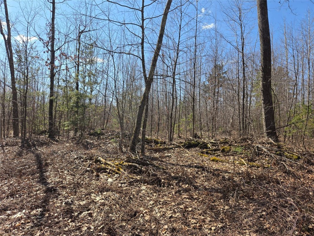 Lot 1 W South Shore Rd Hayward WI 54843 — photo 5