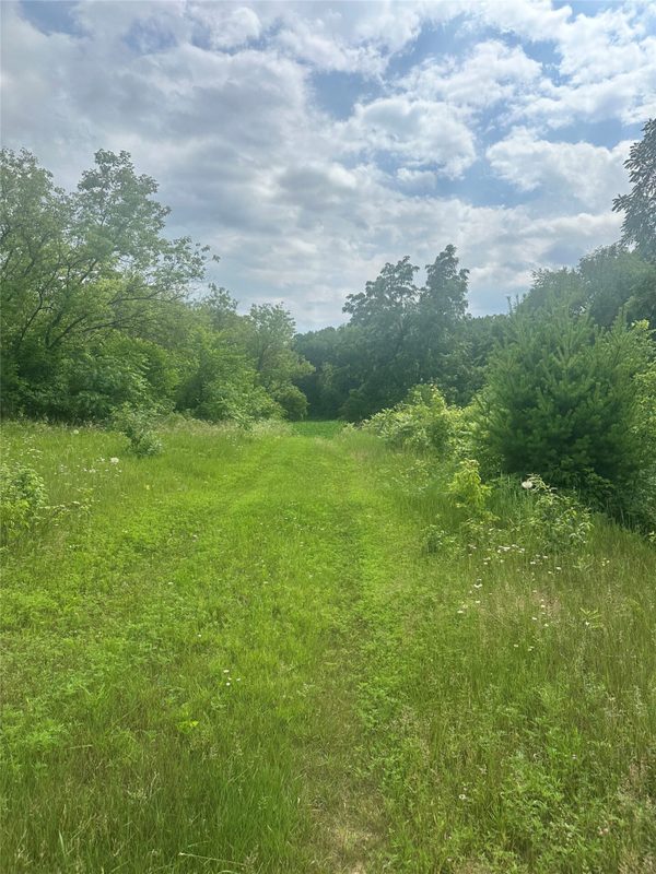 10925 Hemlock Road, Mondovi WI 54755 - Land house for sale - MLS #1604420 - image6