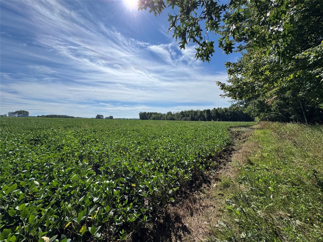 233482 Corinth Road, Athens WI 54411 - Residential house for sale - MLS #1604911 - image6