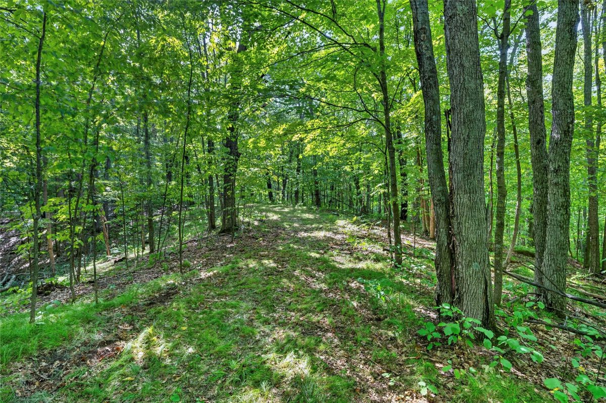 XXX County Hwy B, Shell Lake WI 54871 - Residential house for sale - MLS #1604550 - image14