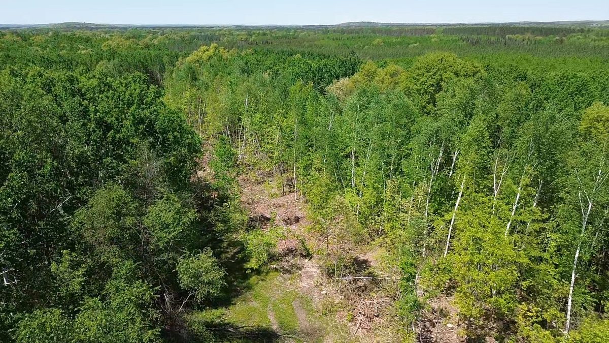 343X 5th Avenue, Spooner WI 54801 - Land house for sale - MLS #1601653 - image13