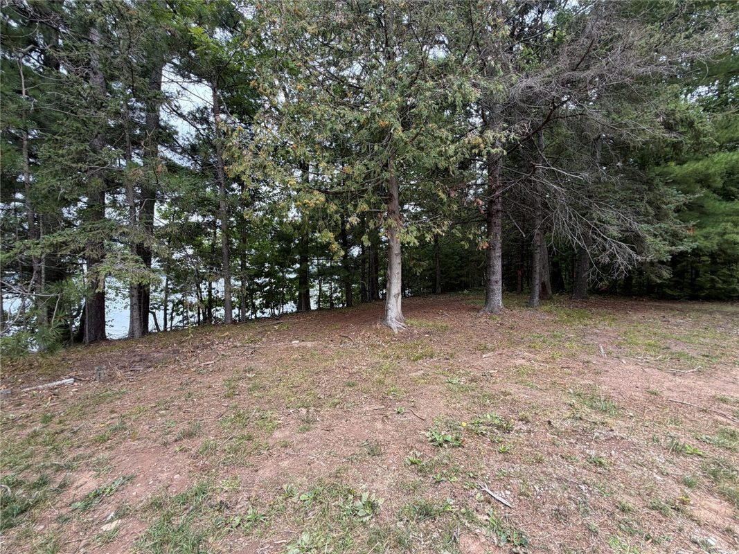 6073 Elsie Road, Stone Lake WI 54876 - Land house for sale - MLS #1602616 - image51