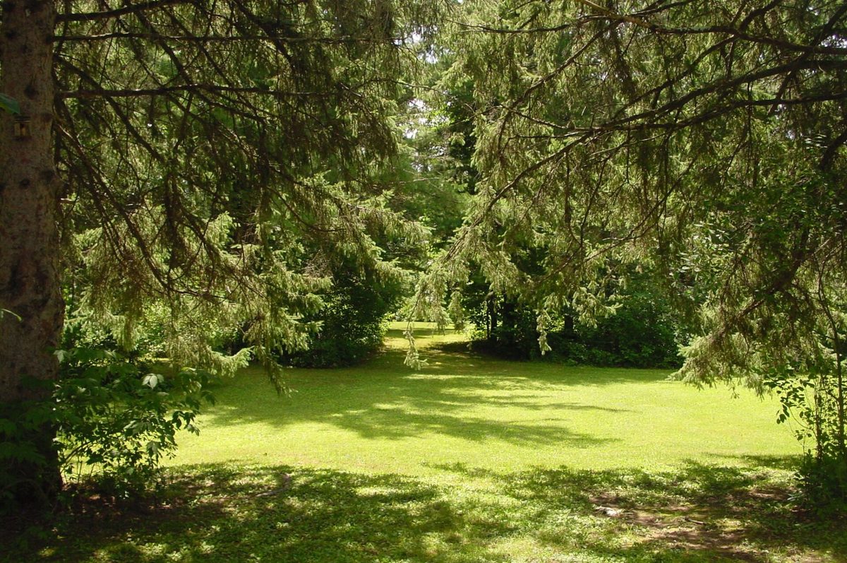 W10529 US Highway 8, Ladysmith WI 54848 - Residential house for sale - MLS #1603124 - image32