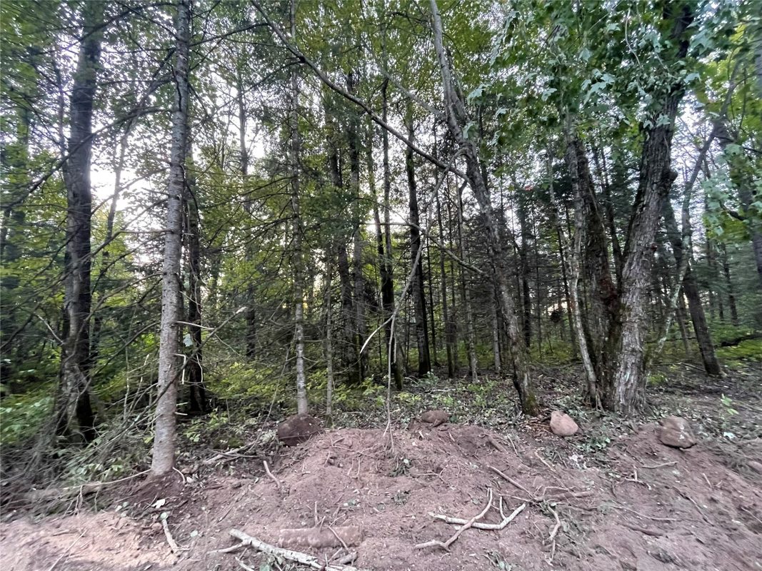 Lot 3 Fadness Road, Winter WI 54896 - Land house for sale - MLS #1605263 - image17