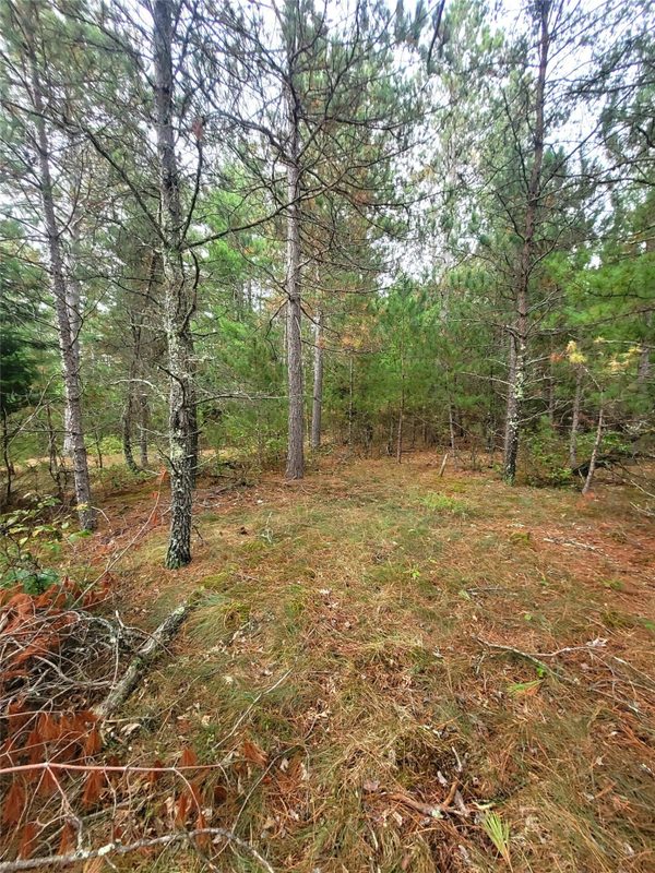 0 Blueberry Rd, Gordon WI 54838 - Land house for sale - MLS #1604990 - image25