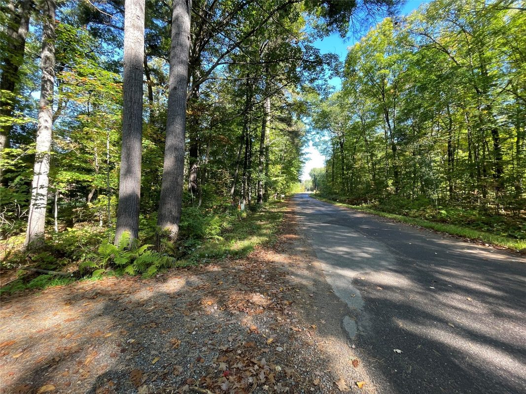 6073 Elsie Road, Stone Lake WI 54876 - Land house for sale - MLS #1602616 - image8