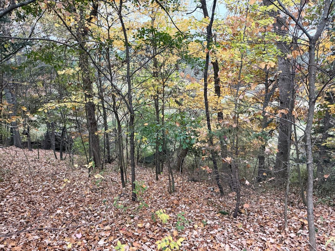 1345 100th Street, Amery WI 54001 - Land house for sale - MLS #1606027 - image5