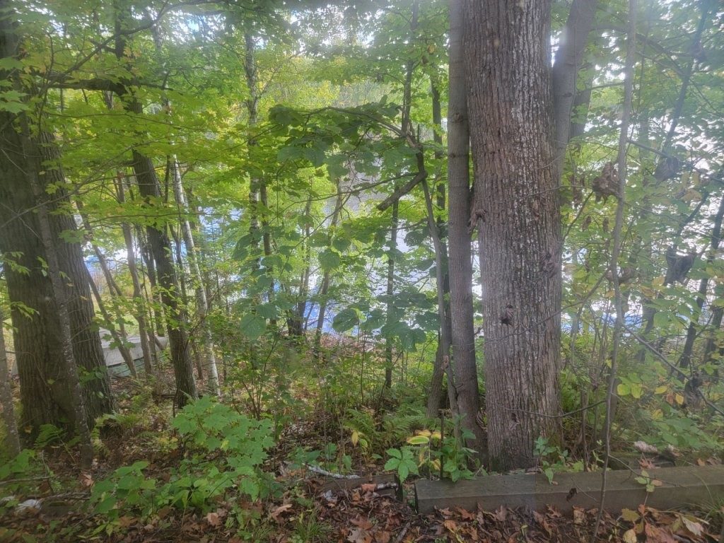 6733W Golf Course Road, Winter WI 54896 - Residential house for sale - MLS #1596013 - image34