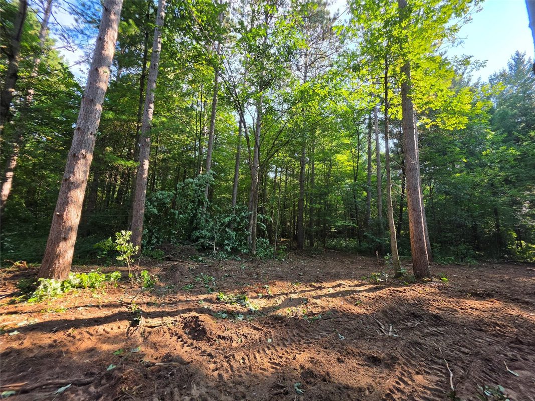0 Country Road C Lot 1, Elk Mound WI 54739 - Land house for sale - MLS #1604589 - image3
