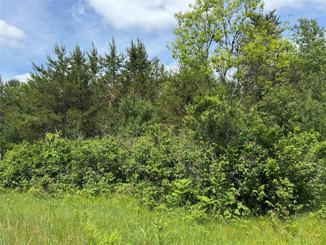 N 6398 Fred Tripp Road, Springbrook WI 54875 - Land house for sale - MLS #1602077 - image8