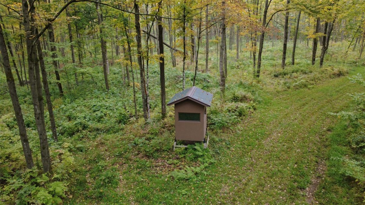 000 Nehrbass Road, Athens, WI — photo 3