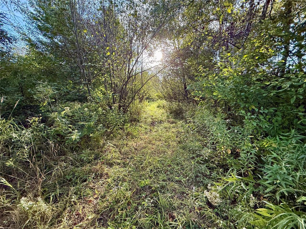 XX County Rd N, Kennan WI 54537 - Land house for sale - MLS #1605049 - image19
