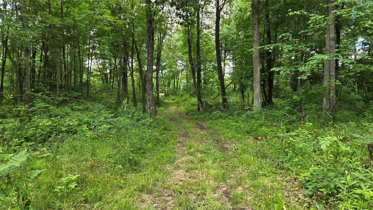 W11680 Jenness Road, Bruce WI 54819 - Residential house for sale - MLS #1602596 - image44