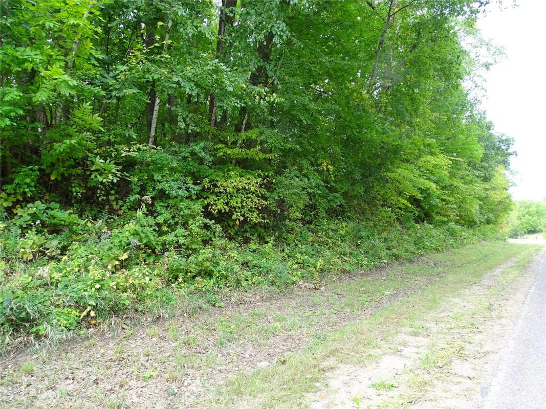 000 County Rd E, Stockholm WI 54769 - Land house for sale - MLS #1605274 - image2