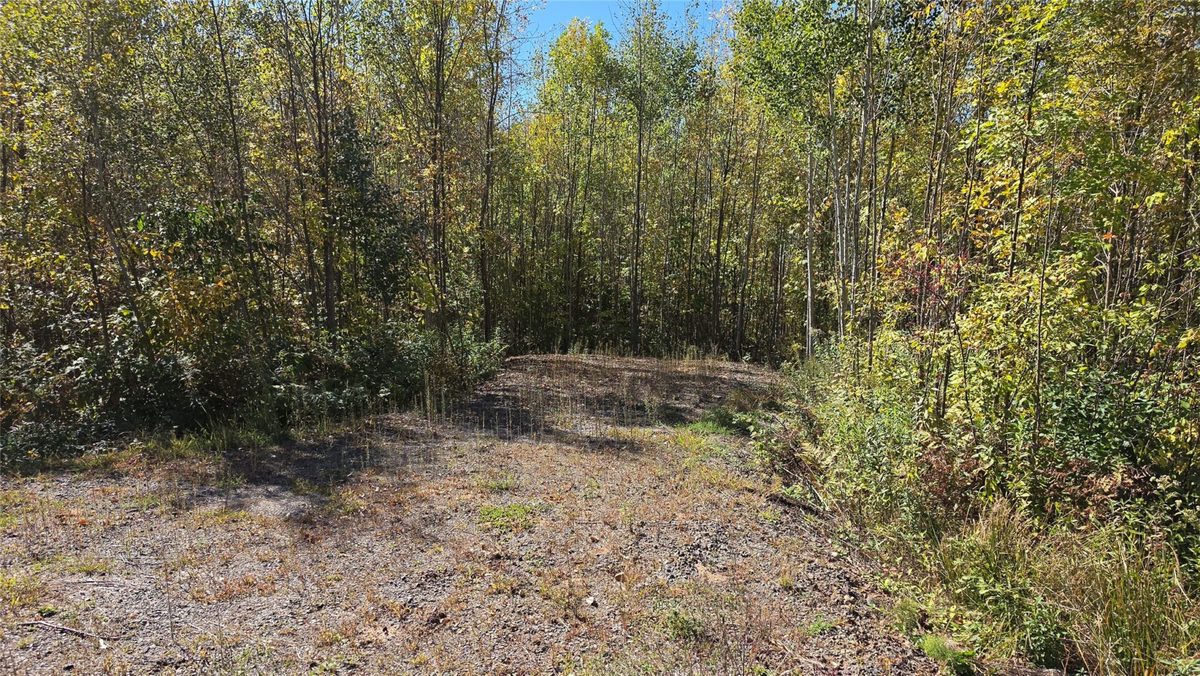 On County Highway W, Winter WI 54896 - Land house for sale - MLS #1605419 - image2