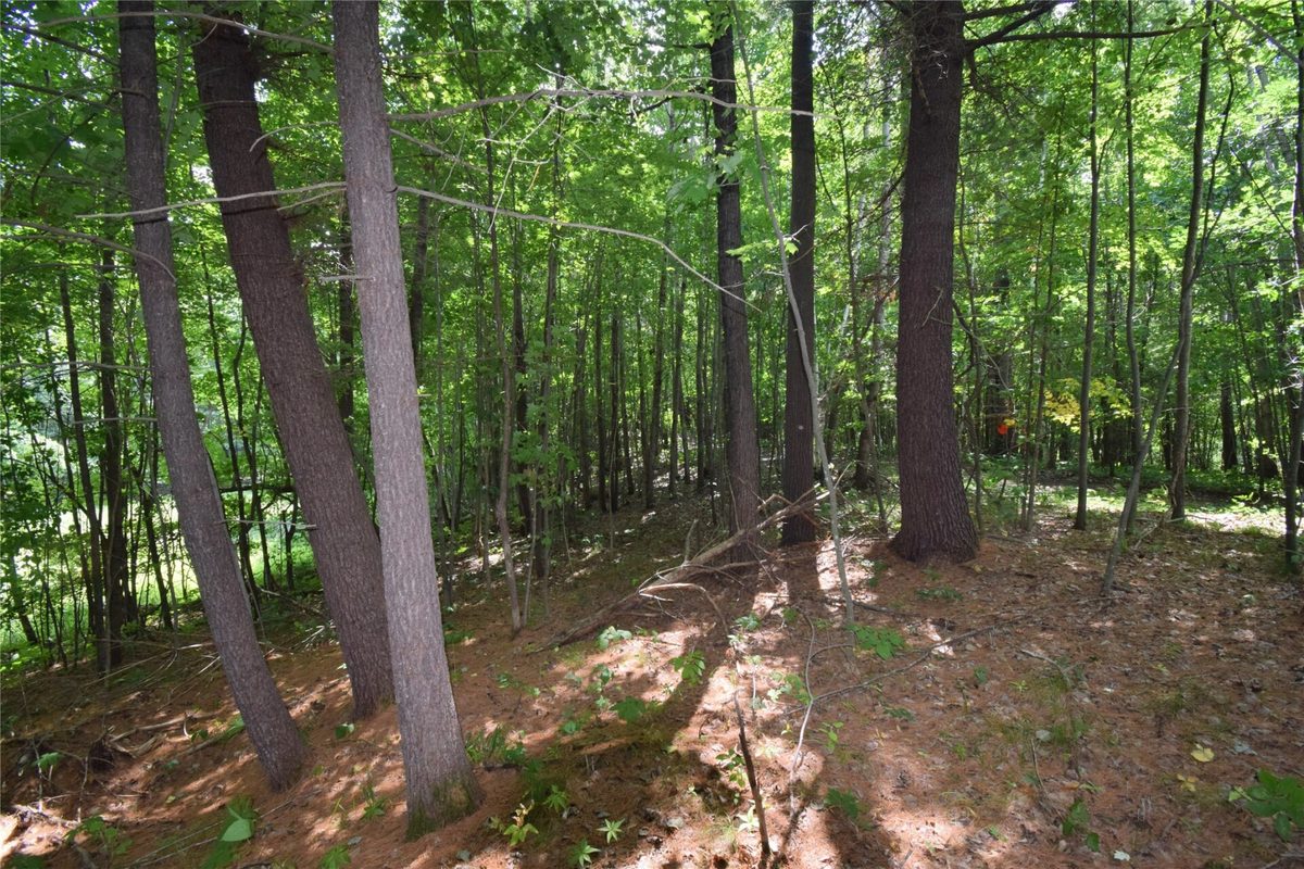 4646 Whitetail Path, Webster WI 54893 - Land house for sale - MLS #1604469 - image26