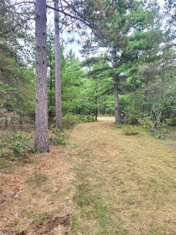 0 Blueberry Rd, Gordon WI 54838 - Land house for sale - MLS #1604990 - image8