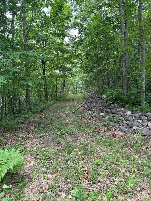 On Strabel Road, Stone Lake WI 54876 - Land house for sale - MLS #1604177 - image20