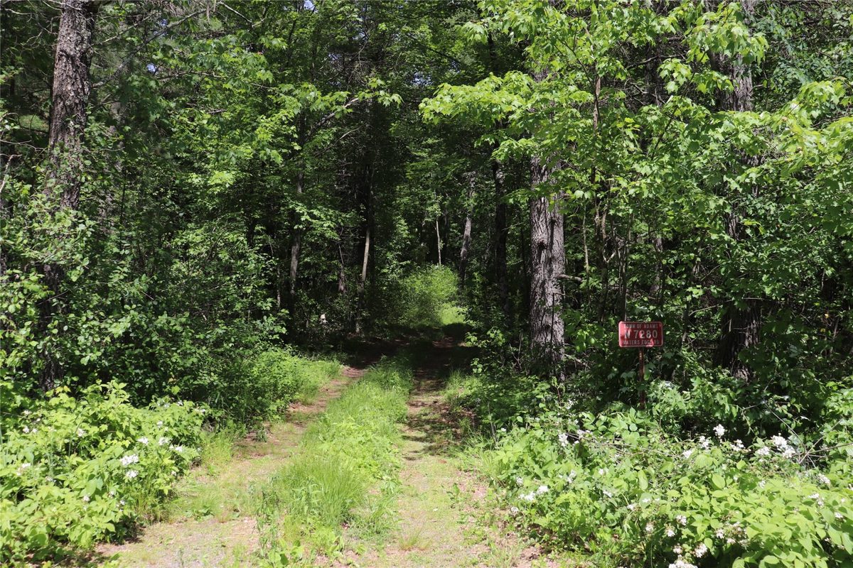 N7280 Waters Edge Road, Black River Falls WI 54615 - Residential house for sale - MLS #1601969 - image39