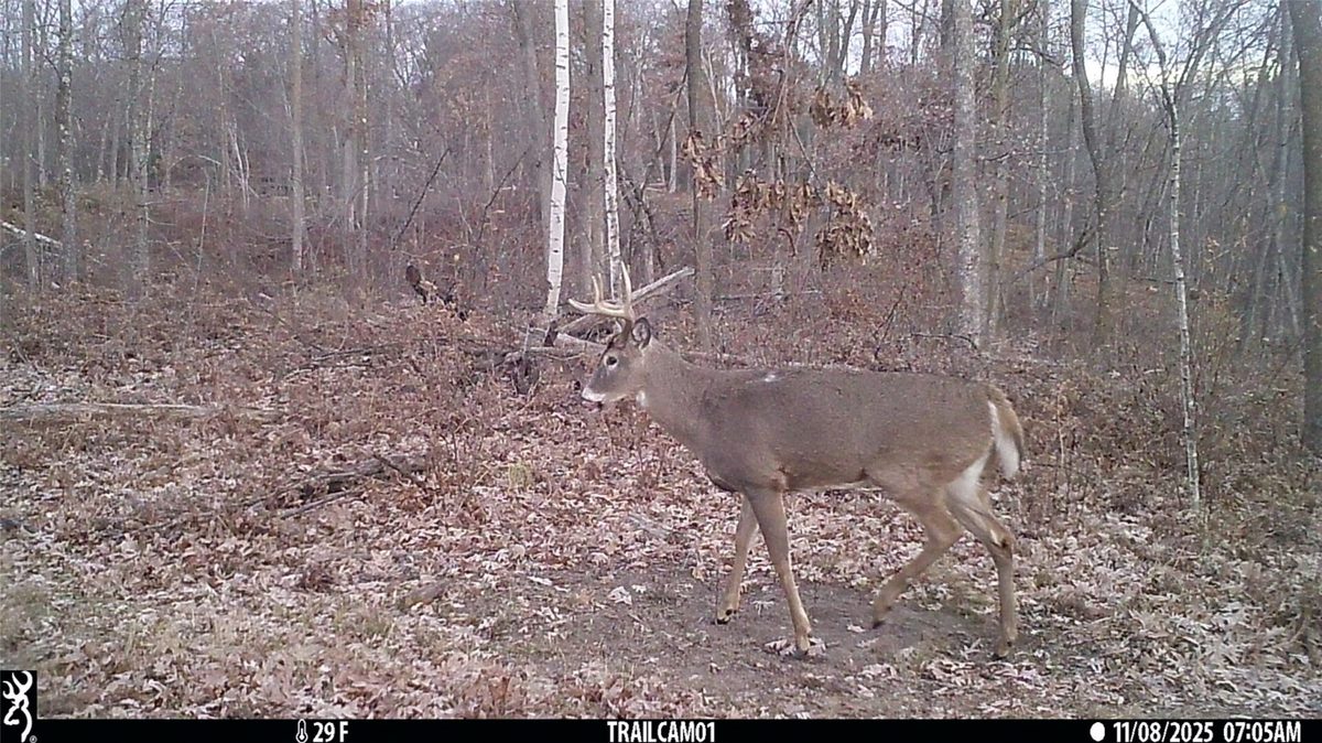 TBD 10 Acres Antler Lake Drive Milltown WI 54858 — photo 22