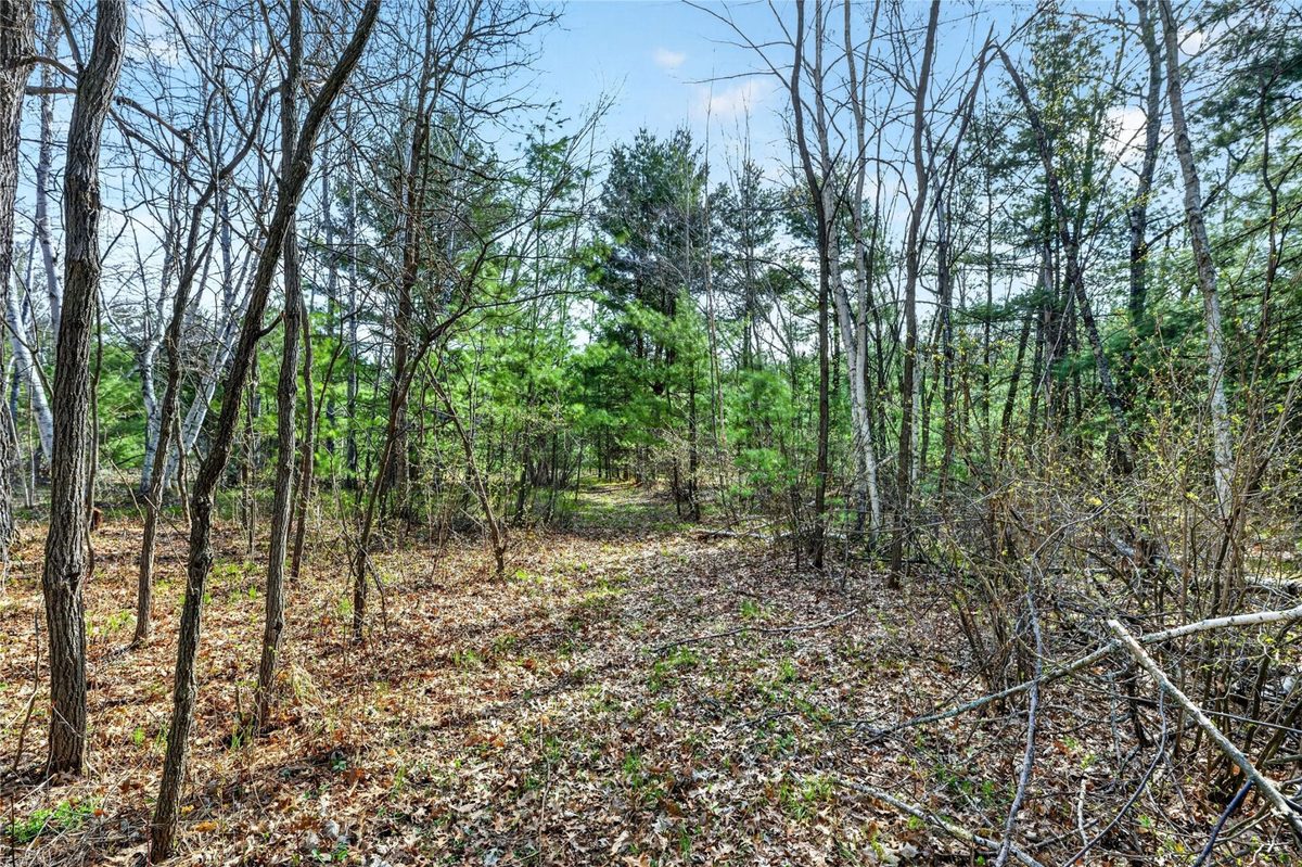 N 7238 Hwy M, Springbrook WI 54875 - Residential house for sale - MLS #1600833 - image29