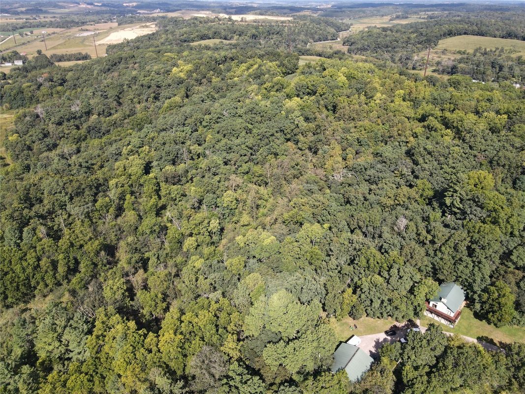 N31781 Skunk Hollow Road, Blair WI 54616 - Residential house for sale - MLS #1605054 - image2