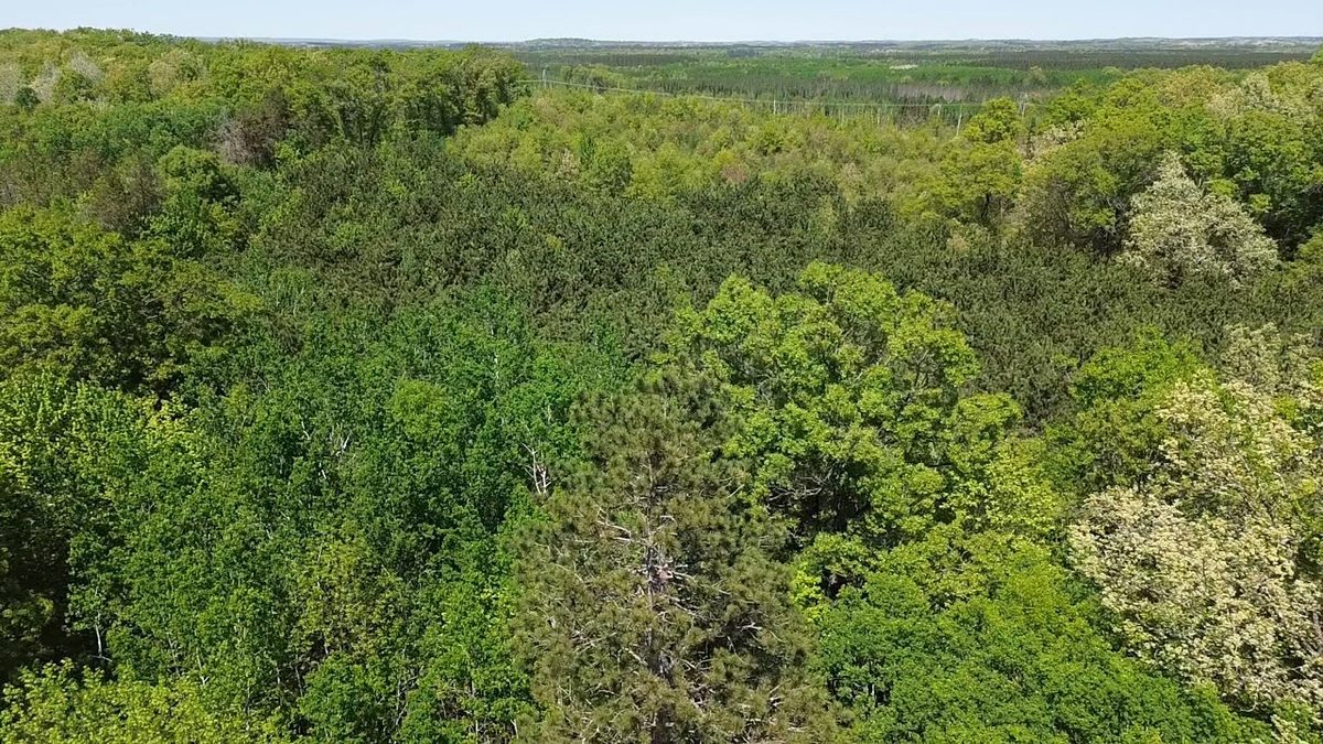 343X 5th Avenue, Spooner WI 54801 - Land house for sale - MLS #1601653 - image6