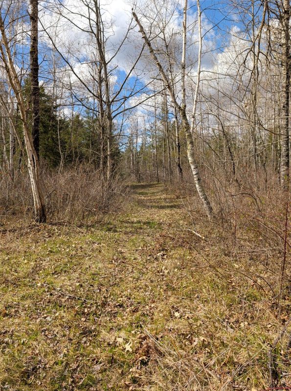 15138 Crotte Brook Trail, Danbury WI 54830 - Residential house for sale - MLS #1600976 - image43