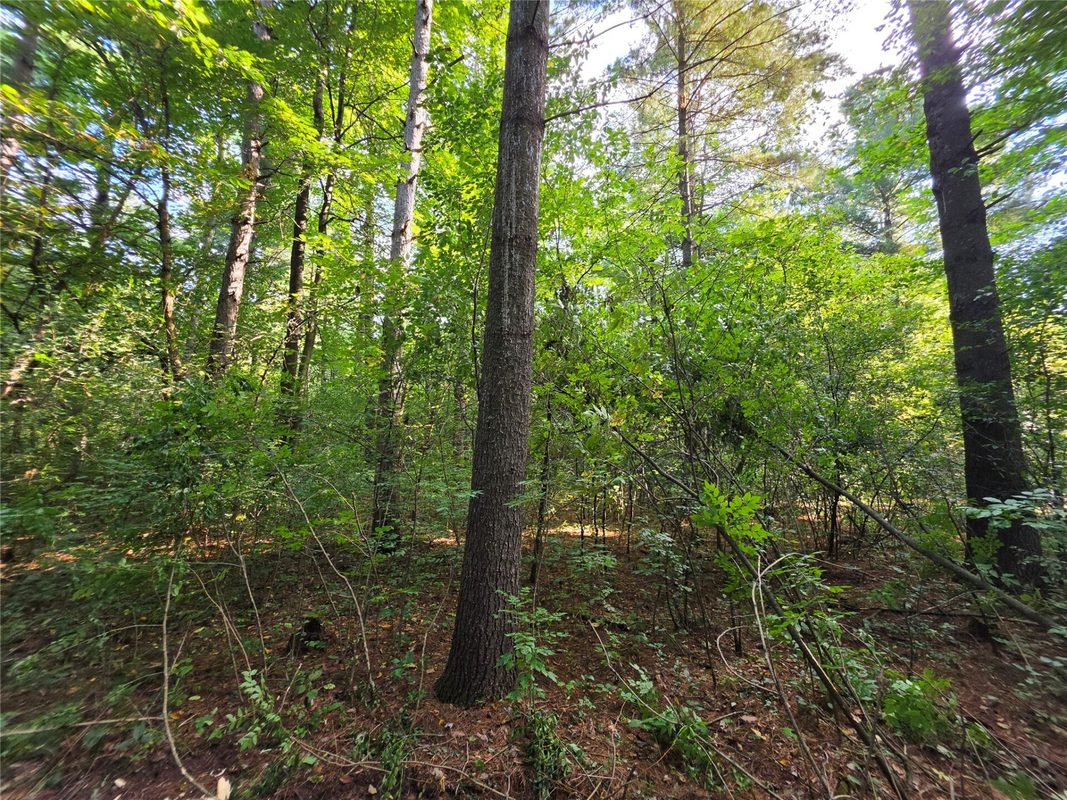 0 Country Road C Lot 1, Elk Mound WI 54739 - Land house for sale - MLS #1604589 - image12