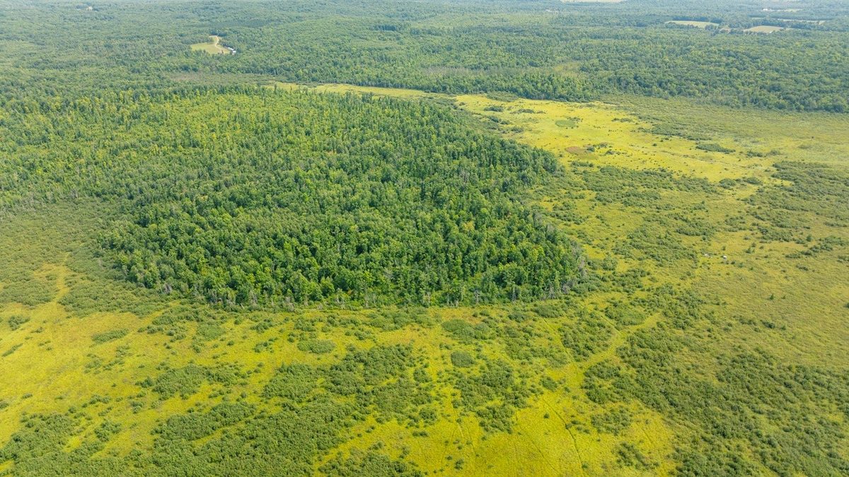 0 28th Street, Chetek WI 54728 - Land house for sale - MLS #1604329 - image25