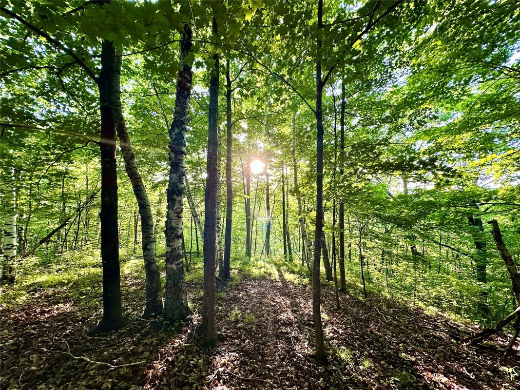15.01 Acres 160th Avenue, Maiden Rock WI 54750 - Land house for sale - MLS #1604580 - image17