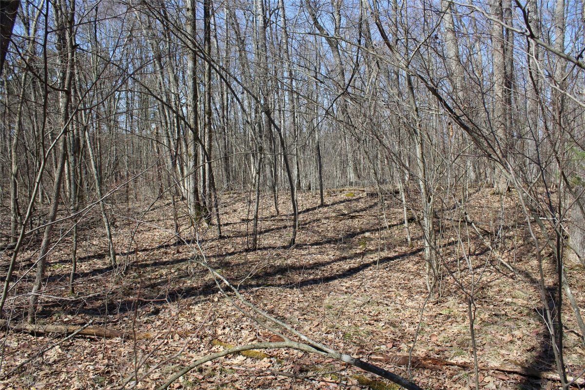 00 Resewood Ave. – Lot 4 Neillsville WI 54456 — photo 15